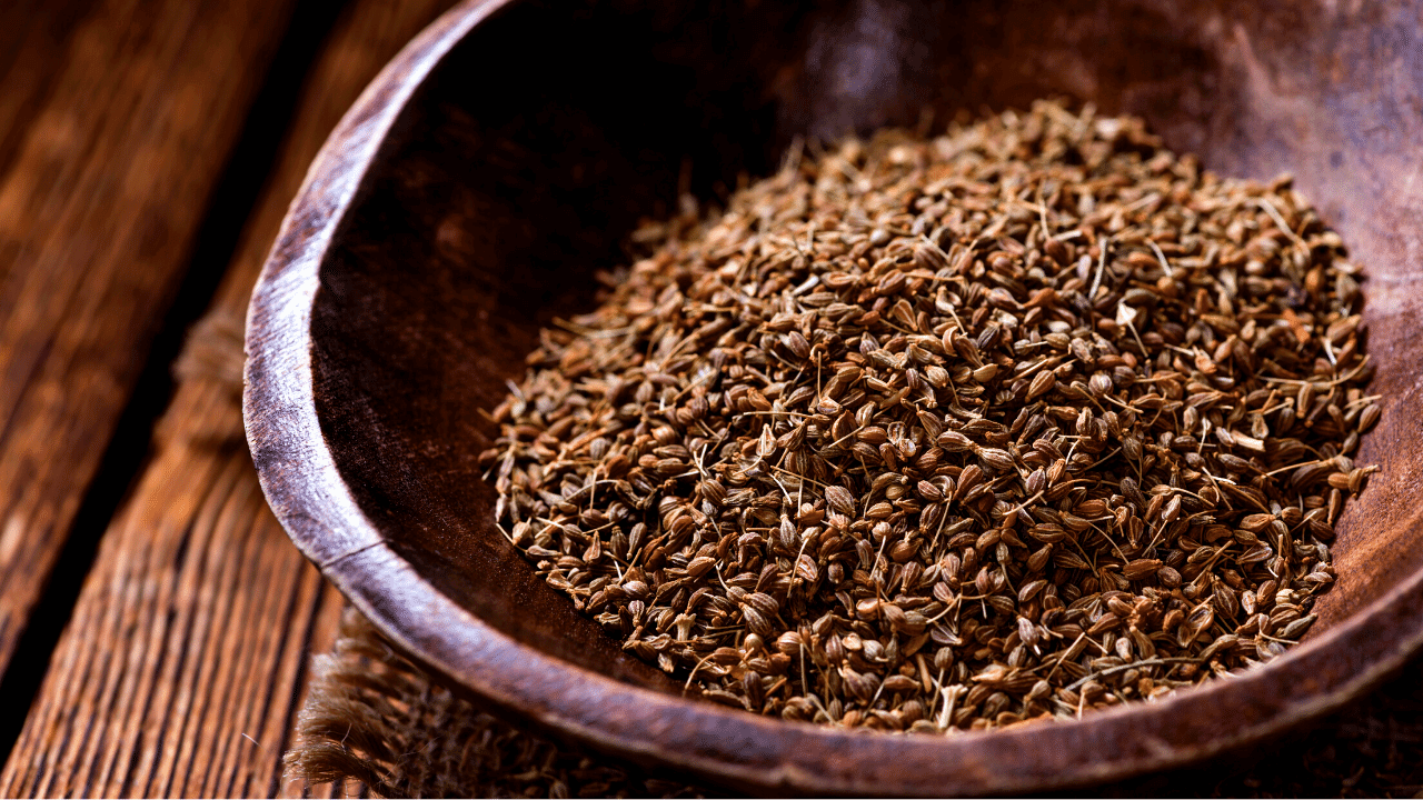 Spices Good For Dogs 11 Best Seasonings And Herbs