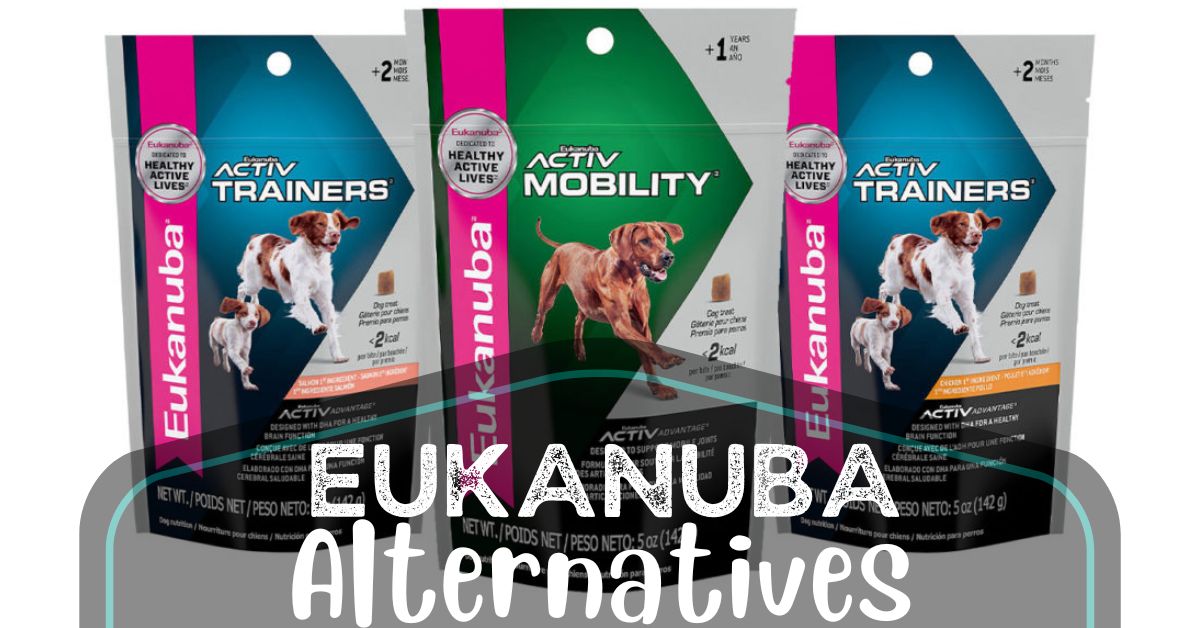 8 Eukanuba Dog Food Alternatives (Top Picks For 2024)