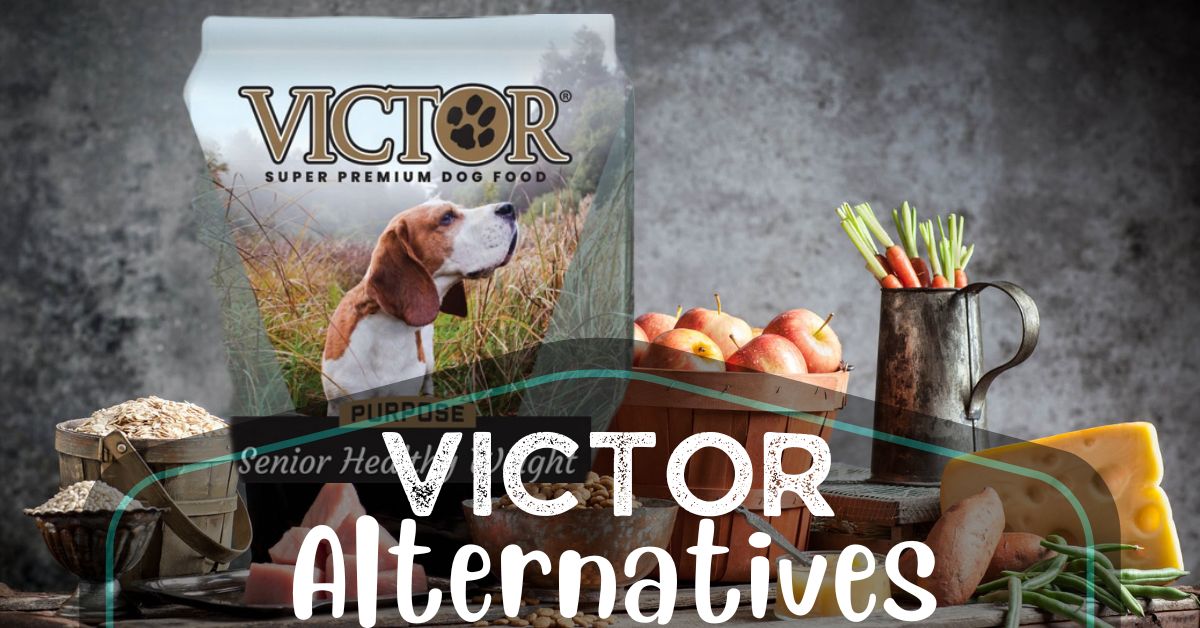 8 Victor Dog Food Alternatives [2023 Reviews]
