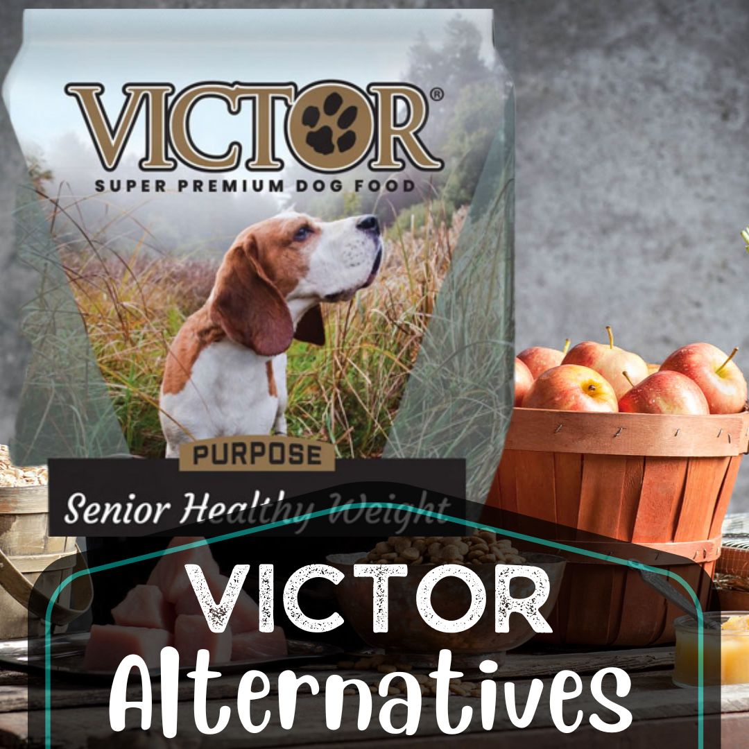 What Dog Food Compares To Victor