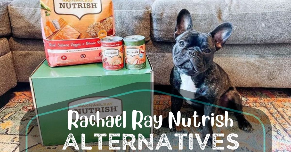 6 Rachael Ray Nutrish Dog Food Alternatives 2024 (Wet & Dry)