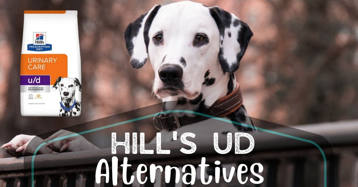 5 Hill's U/D Dog Food Alternatives Of 2023 (Dry & Wet)