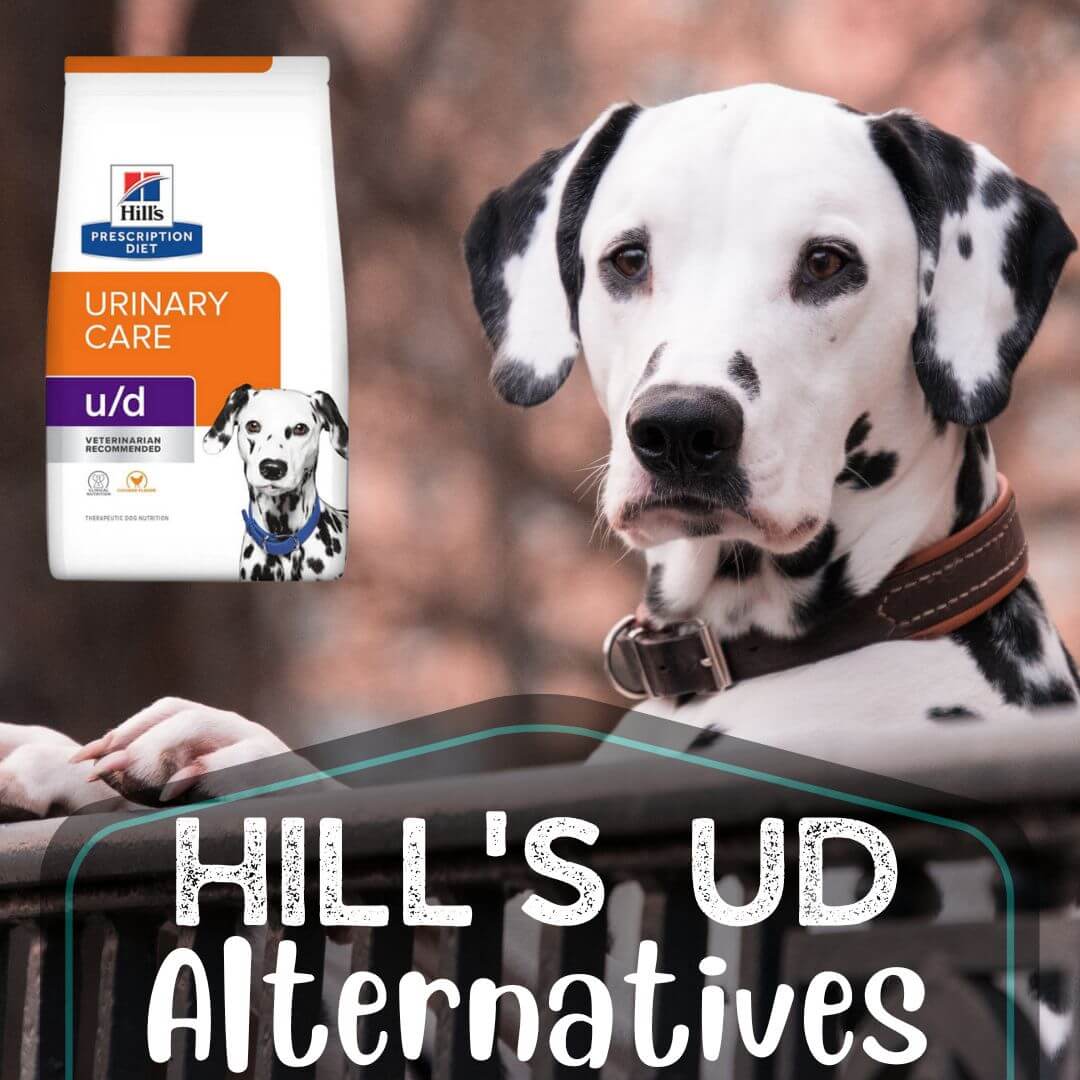 bella wet dog food feeding guidelines Nutrientboost Homestyle Meal Skin & Coat Wet Food for Dogs