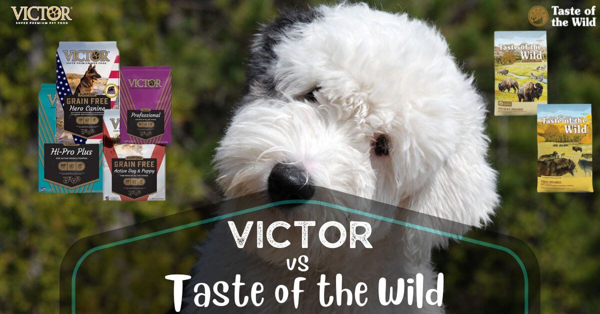 Taste Of The Wild Vs Victor Dog Food [2024] Comparison