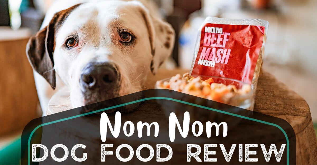 Nom Nom Dog Food Review 2024 Recipes, Recalls & Costs